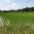 영주목장 이미지