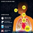 - 황사와 미세먼지(0104).. 이미지