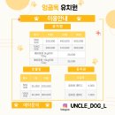 엉클독 애견유치원 이미지