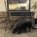 casa de jeju 이미지