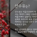 바른식품 이미지