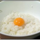 참게마을 Daum카페