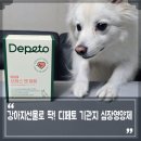 Dear My Pet | 강아지 심장 기관지 영양제 연말 네이버 선물대첩 강아지선물로 마음을 전해요