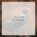 프리샤산부인과의원 이미지