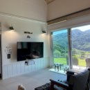 포포애견펜션 이미지