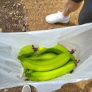 하누농장 이미지