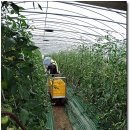 강서부산농장 이미지