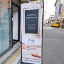 금손알포유