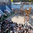 예술이네 이미지