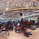 휘트니스 풀바디 이미지