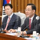 주호영 카카오 검색결과