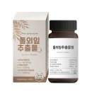 웰니스120