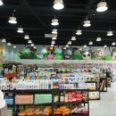 대형애견 이미지