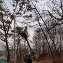스카이핌 이미지