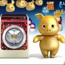 황금돼지 스포츠조선