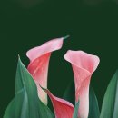 다루군산점 이미지