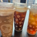 서울애견 | 행복하개키울고양 강아지 서울애견동반카페 후기