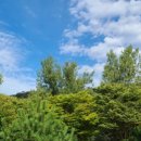 김행종의집 이미지