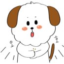 기억하개 이미지