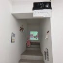 갤러리86 | 종로 7∙8월 무료 전시회 추천] 갤러리밈 임정철 <토끼의 자격> 관람 후기 (안국역 인사동 가볼만한 곳)
