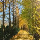 오감연결길 이미지