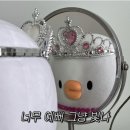 베베부부 이미지