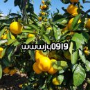 송은농장 이미지