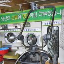 스칼라세탁 이미지