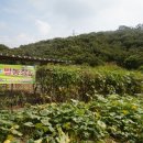 준구농장 이미지