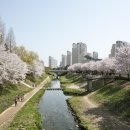 반월놀이공원 이미지