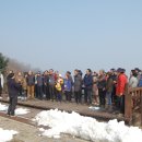 함양산양삼협회 영농조합법인 이미지