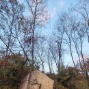 천기리마을회관 이미지