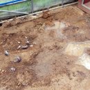 오주농장 이미지