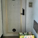 대전보성초등학교 이미지