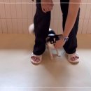 털로덮인친구들 용인죽전점 이미지