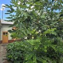 푸른길부동산공인중개사사무소 이미지