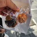 오설기 | 서울 답례품 / 소오설기 떡케이크 직접 다녀온후기~~!