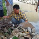 감자서리 이미지