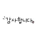 도그마캣일산