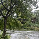 홀리데이캠프캠핑장 | [가평] 유명산 근처 가평 홀리데이 캠핑장 10월 우중 캠핑 후기