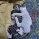 노을과바다 이미지