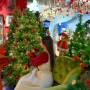 광적로 | 경기도 양주 가볼만한곳 크리스마스 여행 양주 조명박물관 실내 데이트