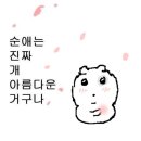 마스타이레카클리닉 | 랭디 일본어 lv6/33/플라스틱을 무턱대고 사용해선 안 돼.