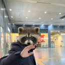 [조회 ㄴㄴ 노잼 글임] 2026.01.20 #한파 속의 외출, 용산역 구내식당 이용