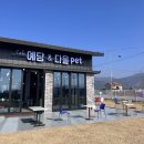 예당 앤 다울 | [예당앤다울펫] 춘천 애견 카페