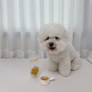 똘멍이네 | 대구 수성구 강아지수제간식 똘멍이네