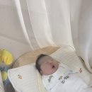 (유)신코끼리주유소 | 수원 베스트산부인과 제왕절개 5박 6일 입원후기(베스트제왕절개입원비용)