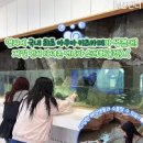 함께 신나는 카페 이미지