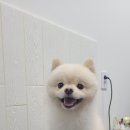 무브멍트 이미지