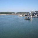 백사장어시장 이미지